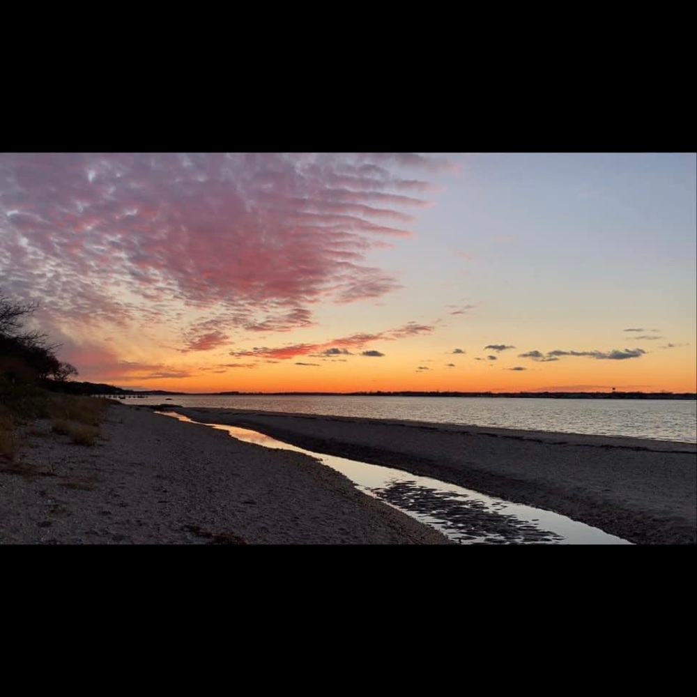 Meet your Posher, Dina